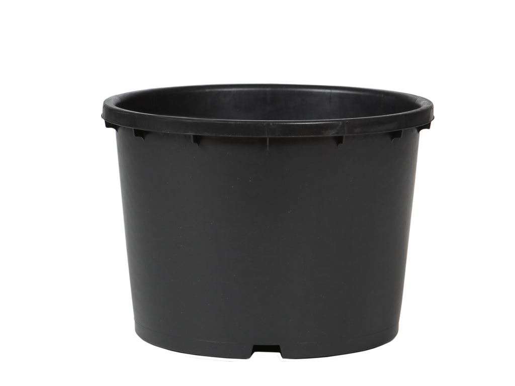 Pflanzcontainer 20 l