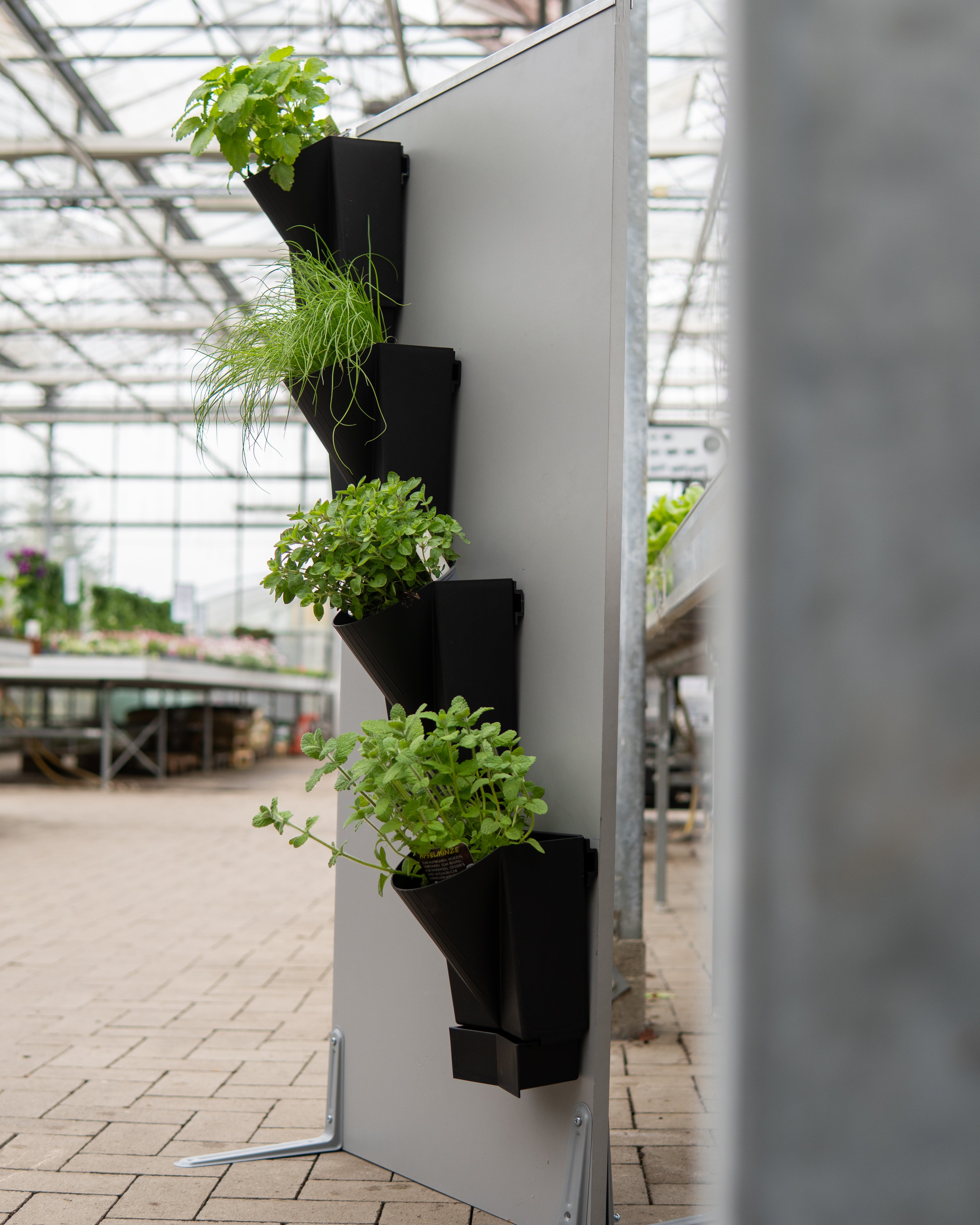 Vertical Garden Wall