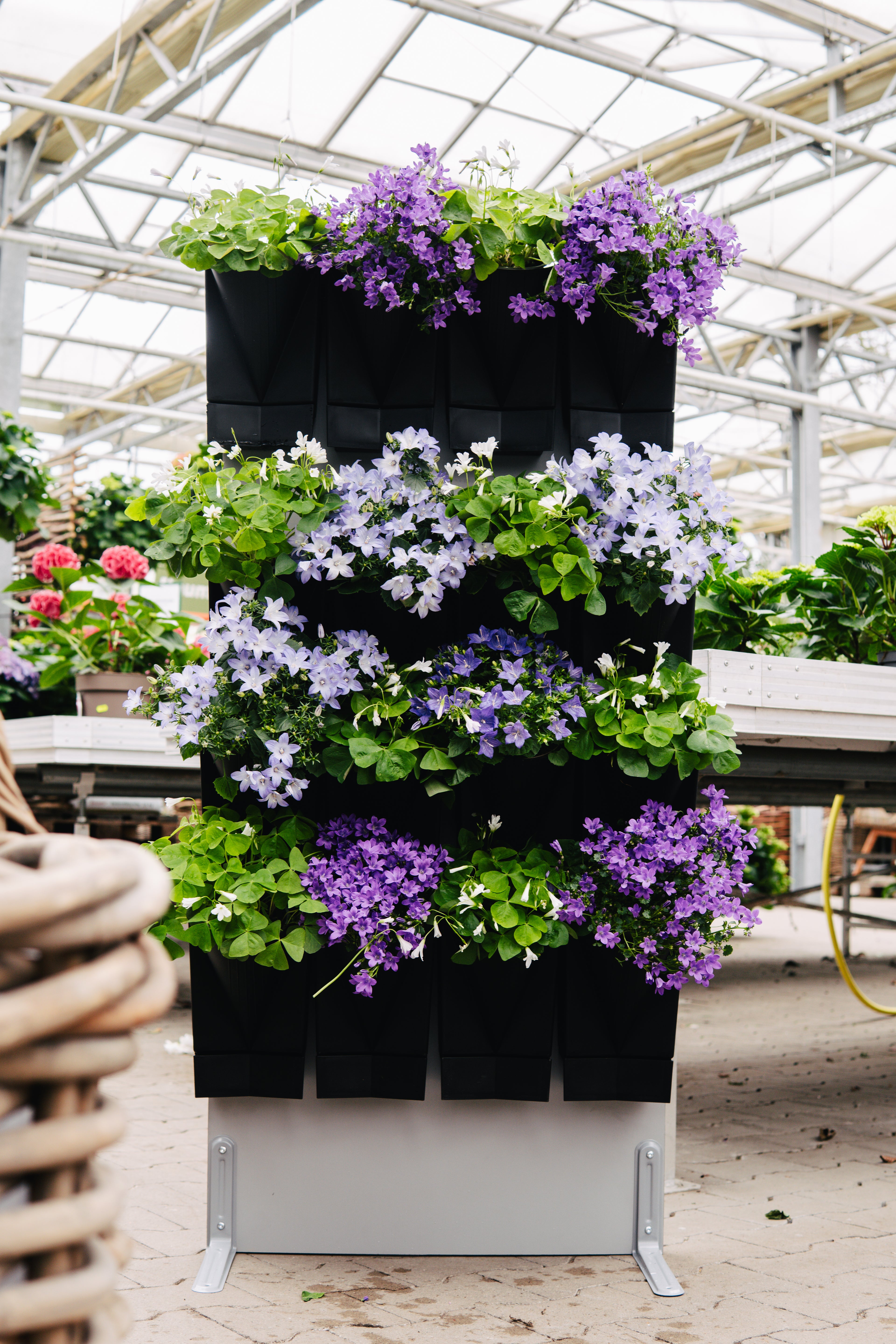 Vertical Garden Wall