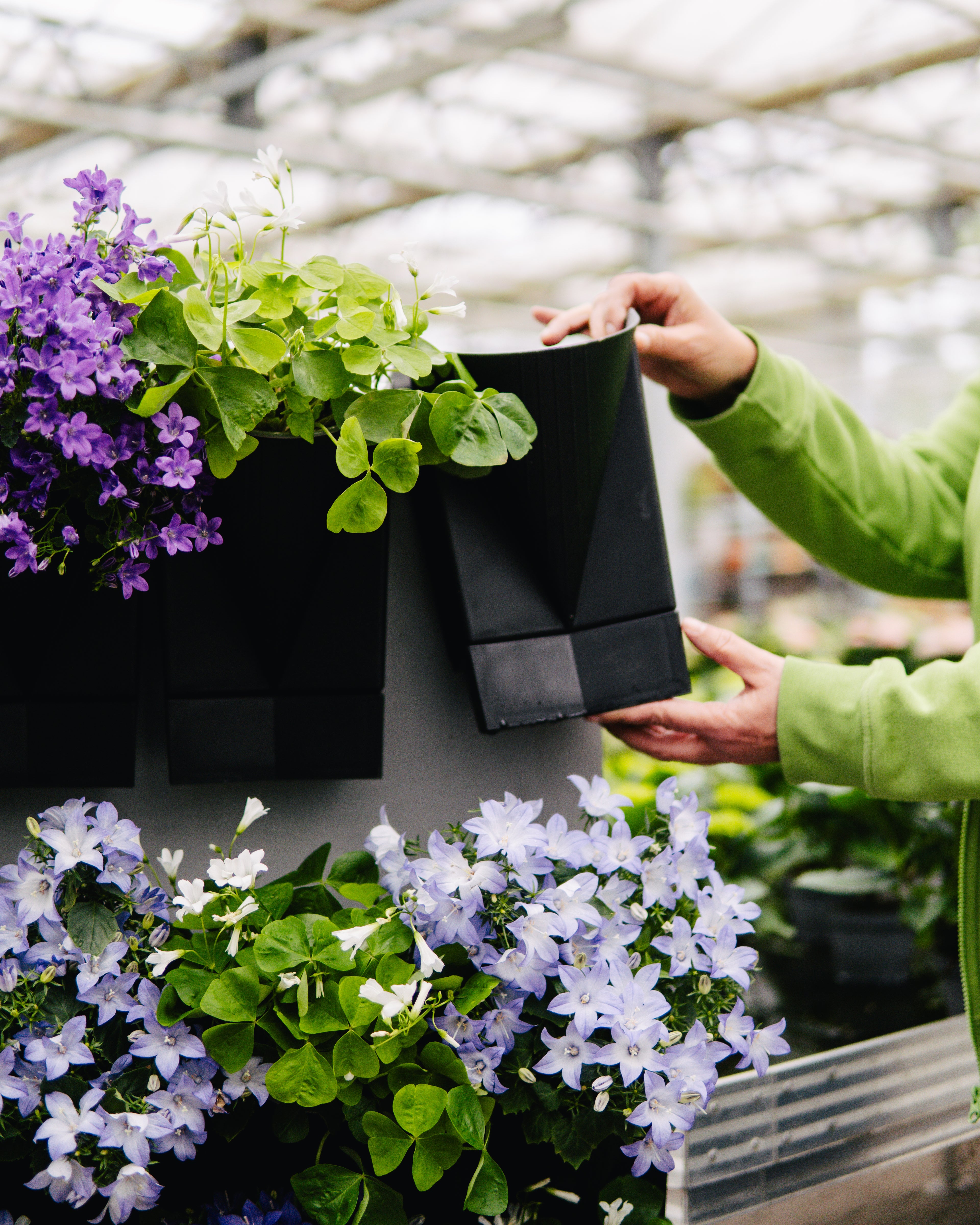 Vertical Garden Wall